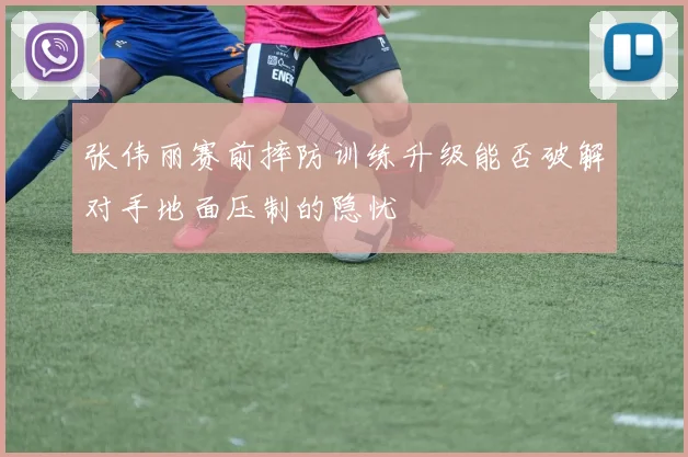 张伟丽赛前摔防训练升级能否破解对手地面压制的隐忧